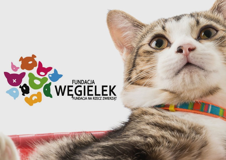 Fundacja Węgielek